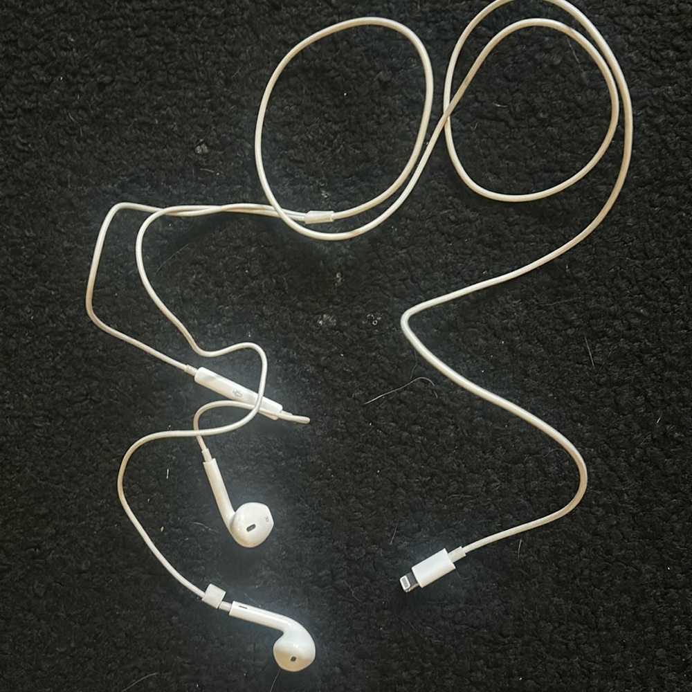 Authentic Apple Earbuds